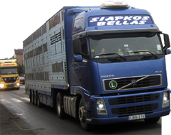 Transportatorii rutieri cresc tarifele