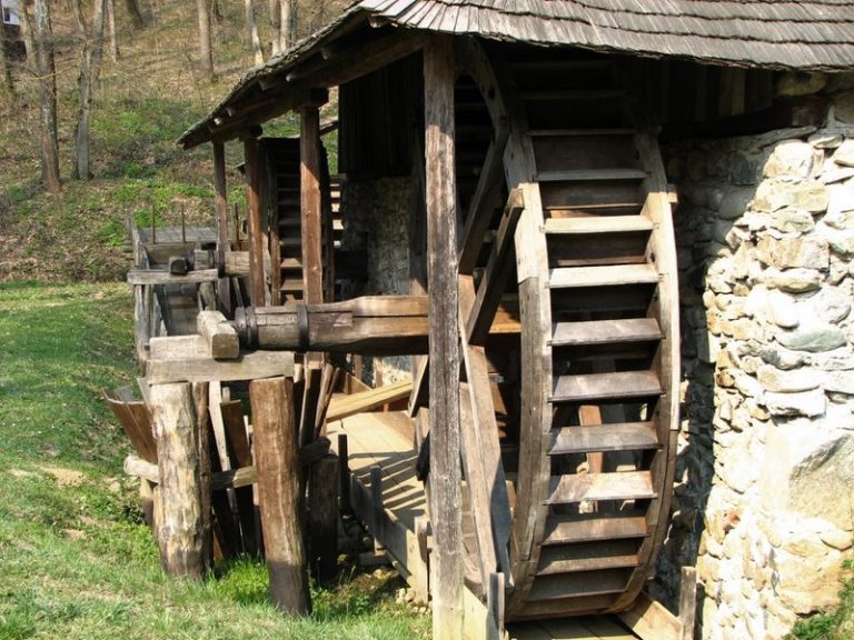 Ziua Mondială a Apei la Muzeul ASTRA