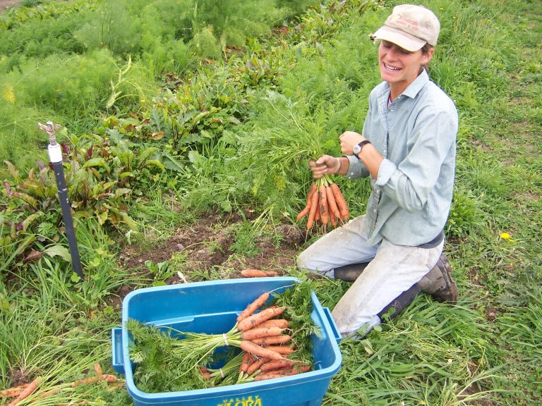 Măsura 142 – Înfiinţarea grupurilor  de producători