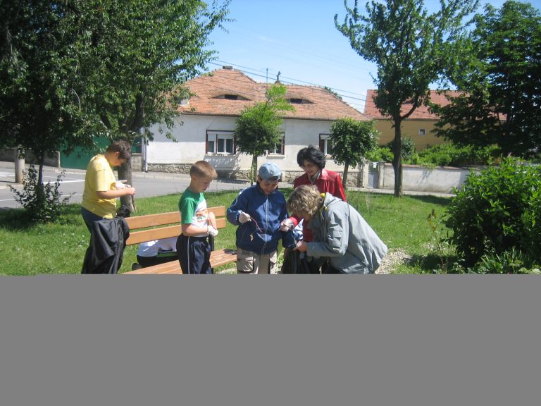 Acţiuni de ecologizare de Ziua Mediului
