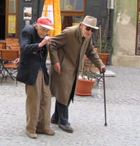 batrani pensionariweb