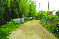 Vine canalizarea pe Mărului