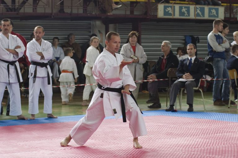 ,,Stilul de karate-do Shotokan reprezintă o cale de continuă autodepăşire”