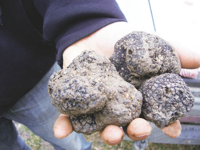 Schimbă modul de agricultură tradiţională