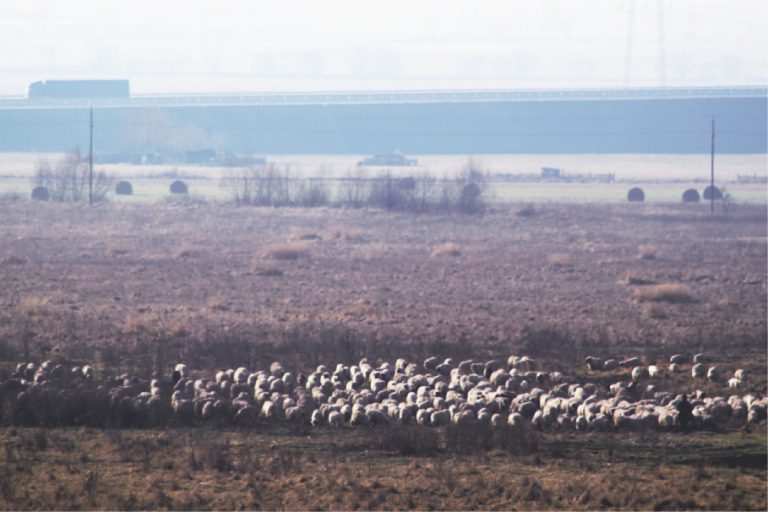 Intravilanul Sibiului se  extinde cu peste 700 de hectare