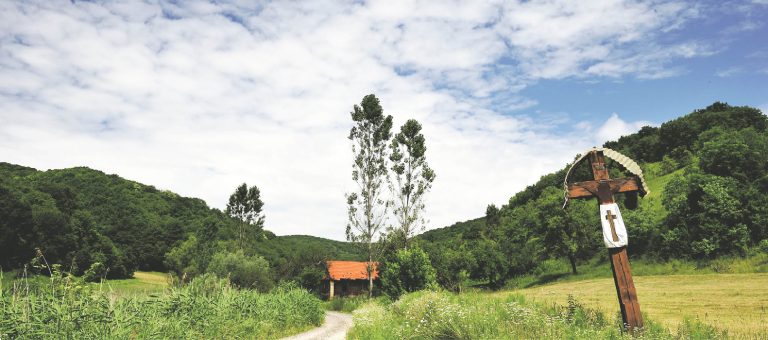 Văleni – satul porţilor deschise-n gol