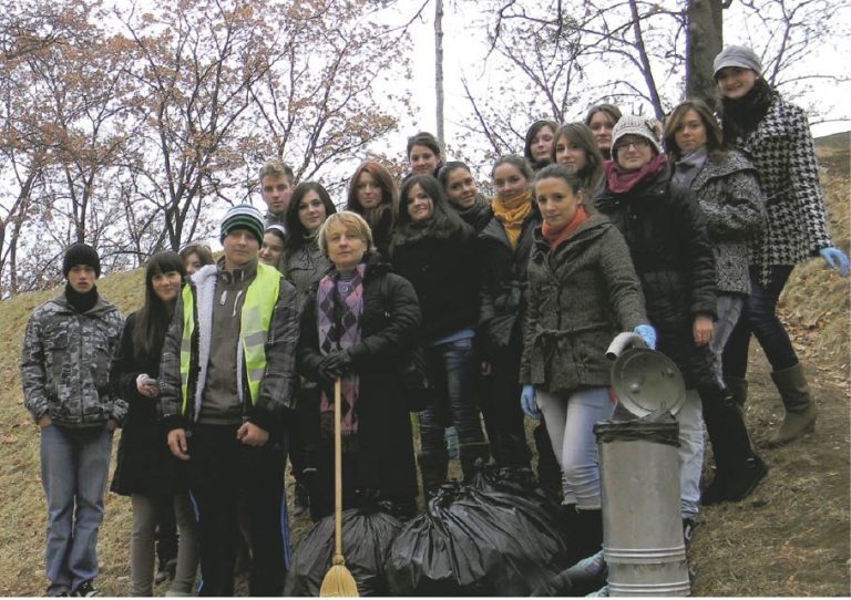 Liceeni voluntari