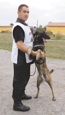 Sibiul are cei mai buni câini poliţişti