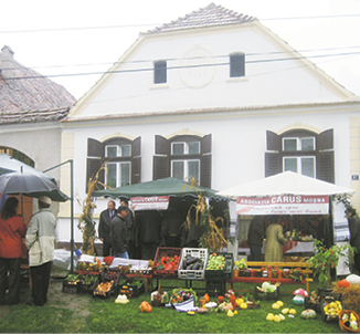 Festivalul Verzei, marcă înregistrată
