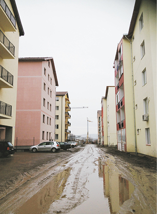 Blestemul străzilor  de pământ