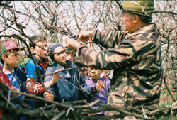 Şcoala Altfel „Să ştii mai multe, să fii mai bun”