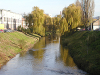 Primăria începe curăţenia de primăvară