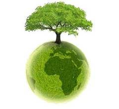 Concurs naţional de ecologie, la Mediaș