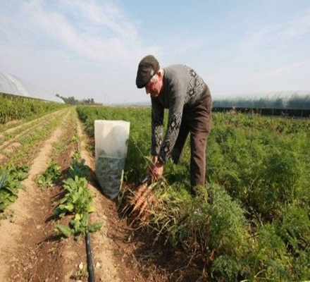 Anunţ privind sistemul de impozitare a veniturilor din activităţi agricole