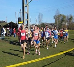 Noi rute de alergare la Semimaratonul Sibiu 2013, organizat de Fundaţia Comunitară