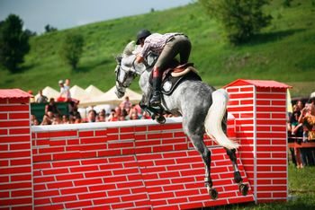 Călăreţii profesionişti de pe tot globul se întrec la Transylvania Horse Show 2013