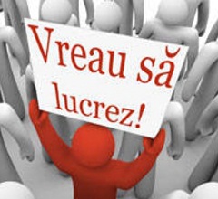 344 locuri de muncă pentru şomerii sibieni