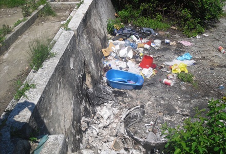 Fostul ștrand Vasea din municipiul Mediaș, groapă de gunoi