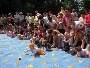 Ziua Sugarului, duminică în Muzeul Astra