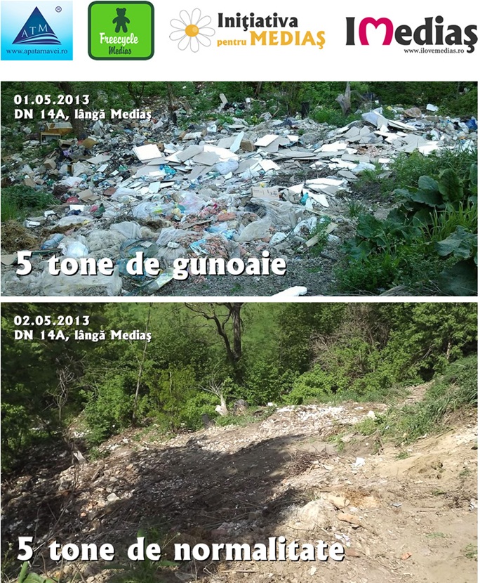 2.536 de semnături adunate pentru curăţarea râpelor de pe Hula Baznei din Mediaş
