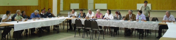 Organizaţia judeţeană PP-DD se reorganizează