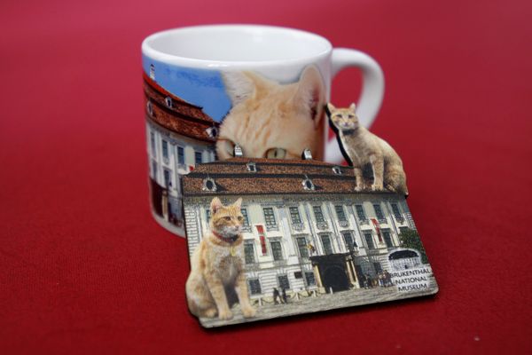 “I love Brukenhal”, campania care promovează cel mai mare muzeu de artă din România