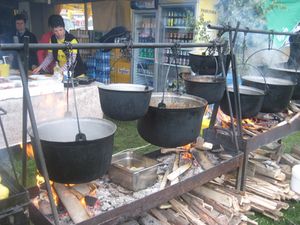 Zilele Culturale ale Județului Sibiu s-au sărbătorit în Mărginimea Sibiului