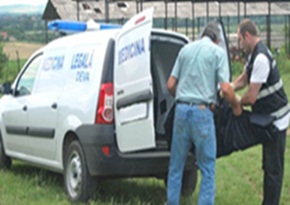 medicina legala medias doi.jpg