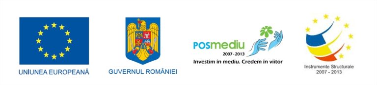 Lucrări din fonduri europene la reţelele de apă şi canalizare din Avrig