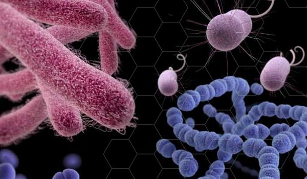 Rezistența la antibiotice, o amenințare reală pentru sănătatea românilor