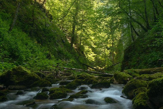 Microhidrocentrale. Macrodistrugeri: WWF lansează campania „Râurile de munte: ultima șansă”
