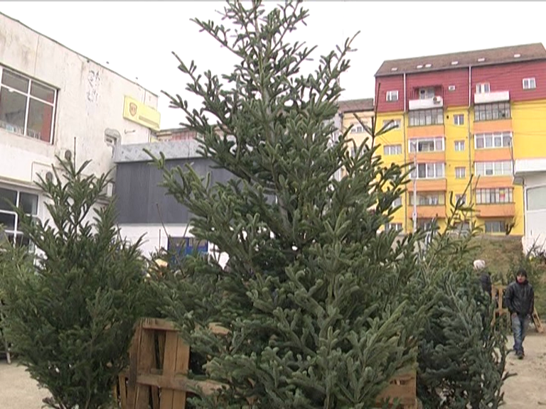 Au apărut brazii în piețe însă lipsesc cumpărătorii