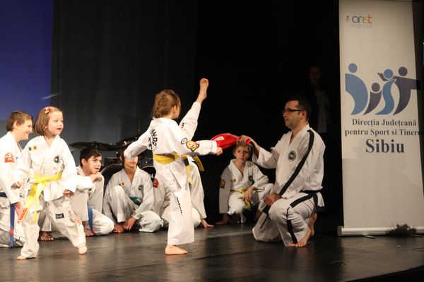 Se apropie Gala Tineretului Sibian 2013. Până pe 9 decembrie se pot completa formularele de participare