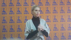 PDL cere demisii și dosare penale pentru cei răspunzători de accidentul aviatic din Apuseni