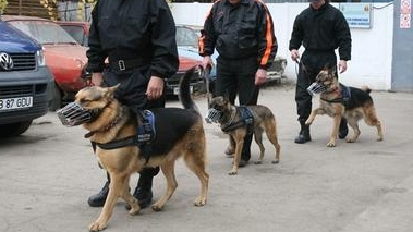 Un fost învățător e de negăsit, localnicii din Arpașu sunt în alertă