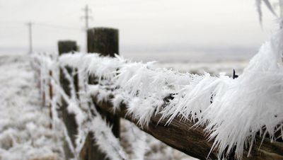 Ger și ninsoare până în 2 februarie