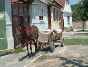 UPDATE: Minor de 4 ani, rănit grav de un cal