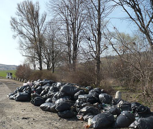 Acțiune exemplară de ecologizare la Șeica Mare