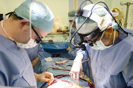 O nouă şansă la viaţă pentru 10 copii defavorizaţi din România