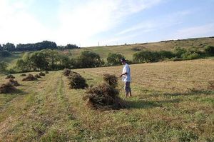 Peste 5000 de agricultori au fost obligați să returneze banii încasați de la APIA