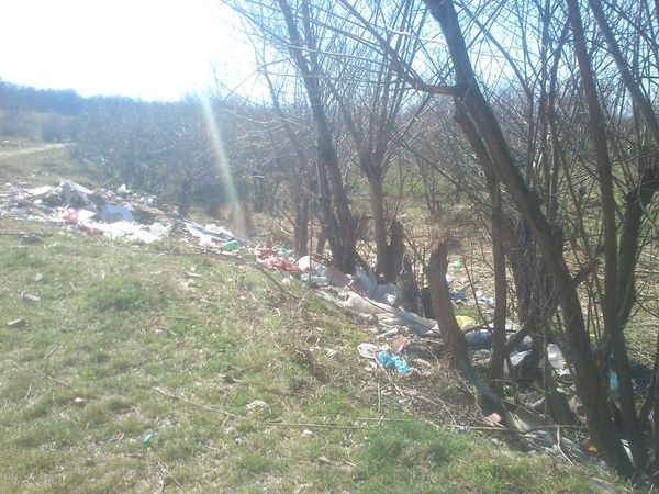 Foto / Vezi cum arată acum zona Șopa
