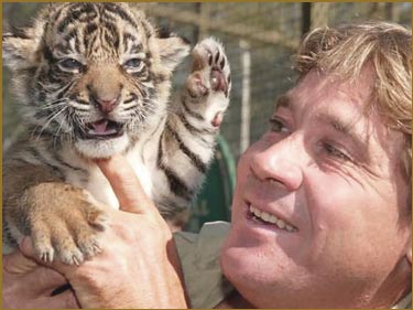 Detalii despre moartea lui Steve Irwin dezvăluite de cameramanul Justin Lyons