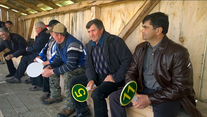 Creșterea ovinelor poate aduce profituri importante în Valea Hârtibaciului