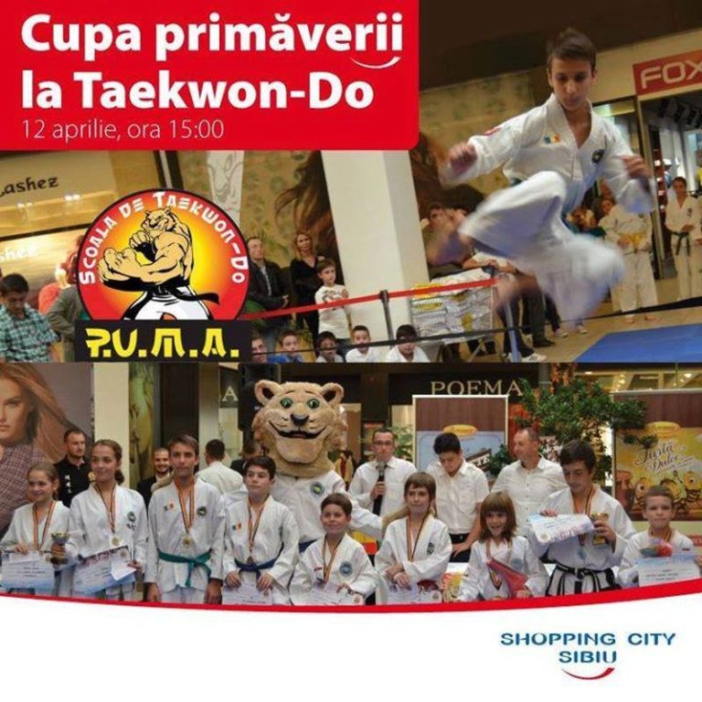 Cupa viitorilor campioni