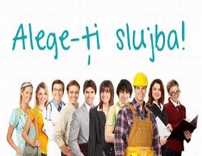596 locuri de muncă pentru şomerii sibieni