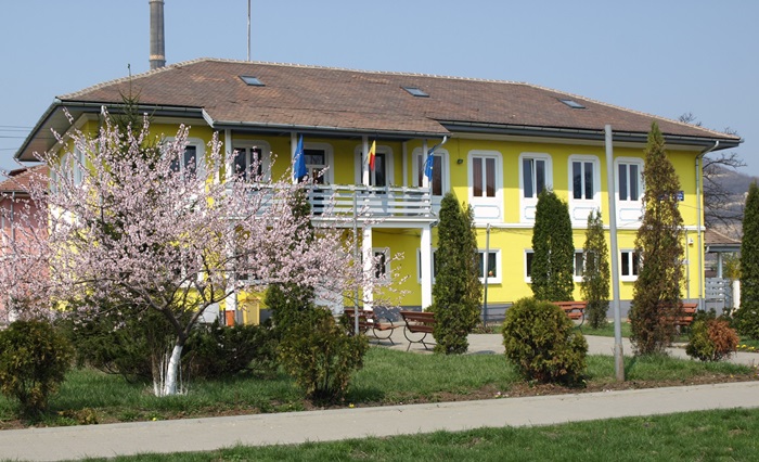 primaria copsa mica doi