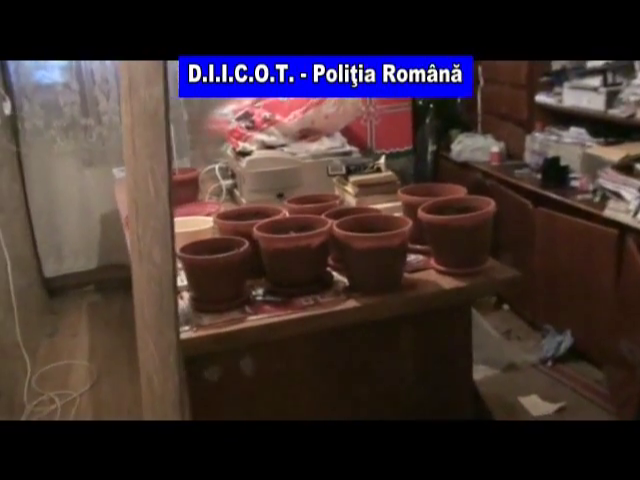 11 inculpați în dosarul traficului de droguri au fost arestați. Iată cum acționau traficanții și de unde își procurau drogurile