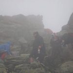 1150819 555479311184381 408686158 n