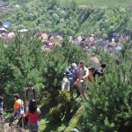 426775 445704122118886 1138829748 n