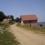 Cartierul Daniel Thellmann Medias 8